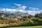 Vineyard at Stellenbosch, Cape winelands, South Africa