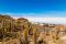 shutterstock_577836016 Hakat – Isa Incahuasi or Cactus Island