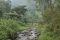 stream at Magohany Springs