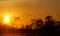 An Amazon sunset, on Tucano cruise, Brazil