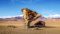 The stone tree, Bolivia