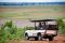 Game drive from Chobe Elephant Camp, Botswana