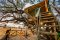 The Dove's Nest Treehouse at The Hide, Hwange National Park, Zimbabwe