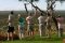 Wildlife tracking at Okonjima, Namibia