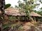 Hut of the Bribri tribe, near the Caribbean coast, Coast Rica