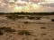 Salt flats in Saadani National Park, Tanzania