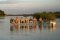 Robin Pope Safaris : sundowners in the river, Zambia