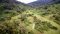 Forest of the Lost Child on the Maasai Trail, Kenya
