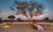 Bush dinner at Leroo La Tau, Makgadikgadi Pans National Park, Botswana
