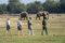 Elephants on walking safari with Tena Tena, South Luangwa National Park, Zambia