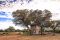 The Tree House at Hobatere Lodge, Etosha, Namibia