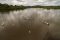 Excursions with MV Anakonda in Ecuador's Amazon