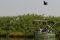 Boat trip to see the heronry near Kanana Camp, Okavango Delta, Botswana